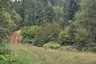 2262 Louis Creek Rd, Myrtle Creek, OR 97457 - Photo 15