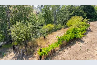 54312 Highway 86, Halfway, OR 97834 - Photo 35