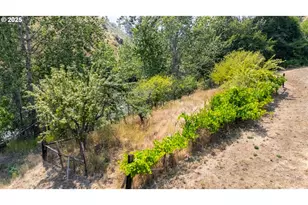 54312 Hwy 86, Halfway, OR 97834 - Photo 35