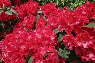 43460 Nicholson Dr, Port Orford, OR 97465 - Photo 5