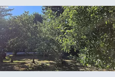 43460 Nicholson Dr, Port Orford, OR 97465 - Photo 19