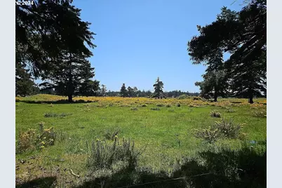 43460 Nicholson Dr, Port Orford, OR 97465 - Photo 3