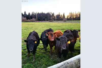 29474 S Highway 170, Canby, OR 97013 - Photo 29