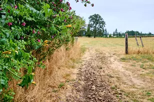 29474 S Hwy 170, Canby, OR 97013 - Photo 29