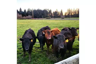 29474 S Hwy 170, Canby, OR 97013 - Photo 29