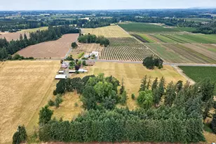 29474 S Hwy 170, Canby, OR 97013 - Photo 3