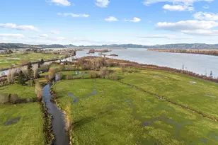 252 State Route 409, Cathlamet, WA 98612 - Photo 13