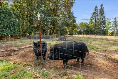 16370 Bell St, Sandy, OR 97055 - Photo 39