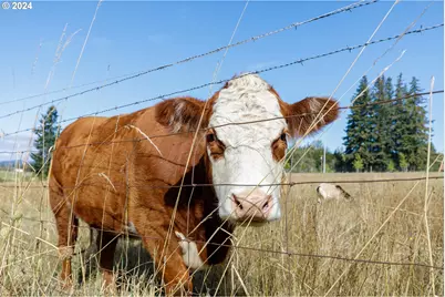 16370 Bell St, Sandy, OR 97055 - Photo 37