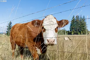 16370 Bell St, Sandy, OR 97055 - Photo 37