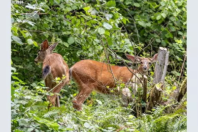 27257 SE Fairmount Dr, Boring, OR 97009 - Photo 35