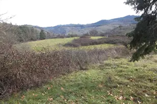 161 Vintage Ln, Myrtle Creek, OR 97457 - Photo 17
