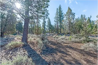69130 Damsel Fly Ct, Sisters, OR 97759 - Photo 7
