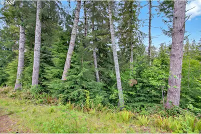 4 Parpala Rd #4, Naselle, WA 98638 - Photo 13