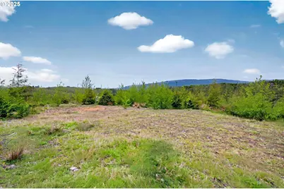 4 Parpala Rd #4, Naselle, WA 98638 - Photo 3