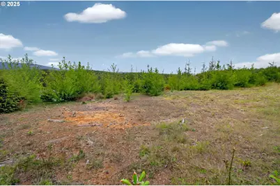 4 Parpala Rd #4, Naselle, WA 98638 - Photo 7