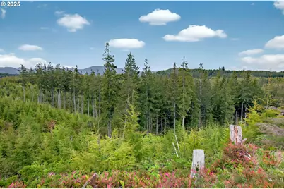 4 Parpala Rd #4, Naselle, WA 98638 - Photo 1