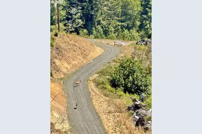 000 Fawn Ln #1202, Coos Bay, OR 97420 - Photo 29