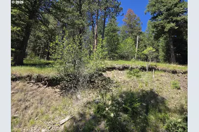 61290 Lake Shore Rd, Wallowa Lake, OR 97846 - Photo 1
