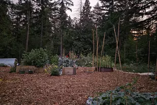 21839 NE 227th Ave, Battle Ground, WA 98604 - Photo 43