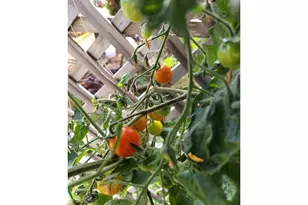 1950 Greenwood Ave, Reedsport, OR 97467 - Photo 23