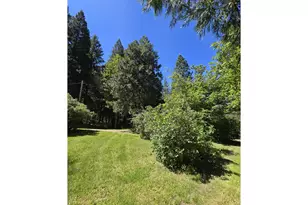 2505 Windy Creek Rd, Glendale, OR 97442 - Photo 21
