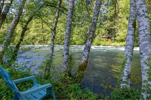 56483 McKenzie Hwy, McKenzie Bridge, OR 97413 - Photo 39