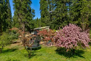 1293 Starveout Creek Rd, Azalea, OR 97410 - Photo 43