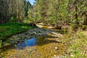 1293 Starveout Creek Rd, Azalea, OR 97410 - Photo 45
