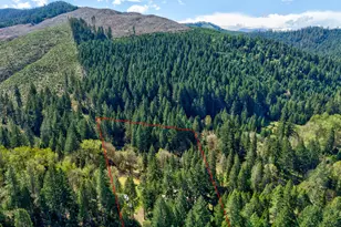 1293 Starveout Creek Rd, Azalea, OR 97410 - Photo 41