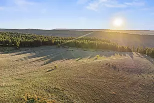 83584 Troy Rd, Wallowa, OR 97885 - Photo 29