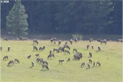 83584 Troy Rd, Wallowa, OR 97885 - Photo 19