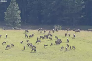 83584 Troy Rd, Wallowa, OR 97885 - Photo 19