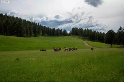 83584 Troy Rd, Wallowa, OR 97885 - Photo 21