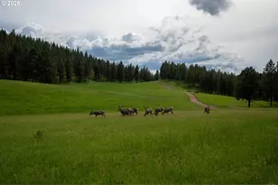 83584 Troy Rd, Wallowa, OR 97885 - Photo 21