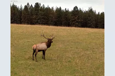 83584 Troy Rd, Wallowa, OR 97885 - Photo 15