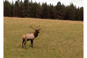 83584 Troy Rd, Wallowa, OR 97885 - Photo 15