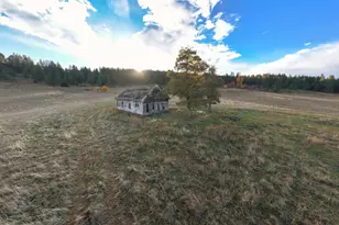 83584 Troy Rd, Wallowa, OR 97885 - Photo 31