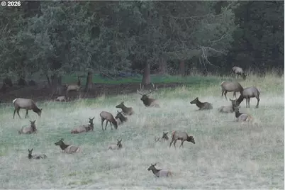 83584 Troy Rd, Wallowa, OR 97885 - Photo 17