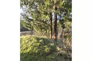 781 Pine Ridge Dr, Glide, OR 97443 - Photo 25
