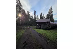 781 Pine Ridge Dr, Glide, OR 97443 - Photo 21