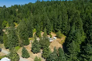 295 Wolf Valley Dr, Umpqua, OR 97486 - Photo 39