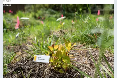 4925 SW 153rd Ave, Beaverton, OR 97007 - Photo 15