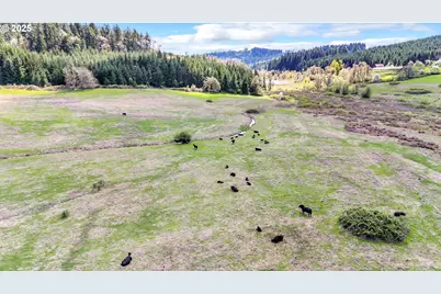 26900 Crow Rd, Eugene, OR 97402 - Photo 7