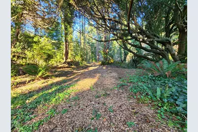 Orchard Rd Lot #3, Port Orford, OR 97465 - Photo 11