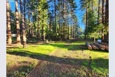 Orchard Rd Lot #3, Port Orford, OR 97465 - Photo 9