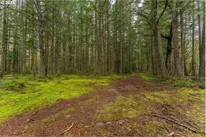 Upper Cow Creek Rd, Azalea, OR 97410 - Photo 9