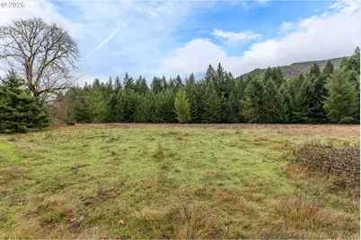 Upper Cow Creek Rd, Azalea, OR 97410 - Photo 17