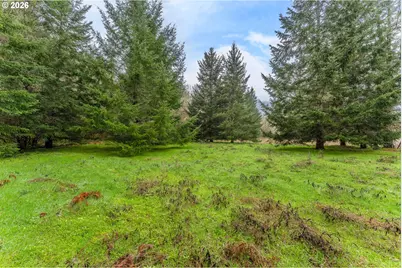 Upper Cow Creek Rd, Azalea, OR 97410 - Photo 13