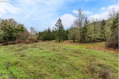 Upper Cow Creek Rd, Azalea, OR 97410 - Photo 15